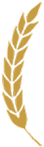 Gold curve decoration