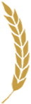 Gold curve decoration